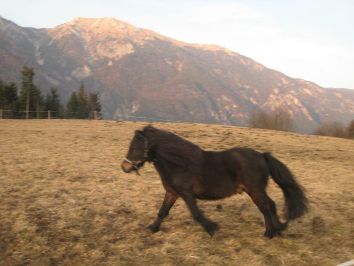 Haus Kaiser Passriach Bagian luar foto